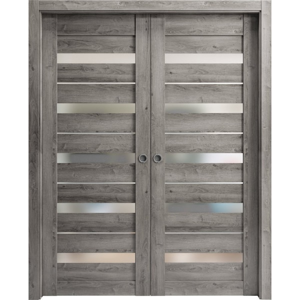 Sartodoors Sliding Closet Bypass Doors 36 x 84in, Matte Black Clear Glass, Sturdy Rails Moldings Trims LUCIA2166DBD-BLK-3684 - main
